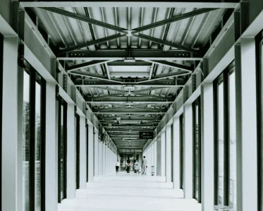 vertical-shot-white-hallway-with-glass-doors-metal-ceiling-modern-building